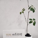 썬아뜰리에
