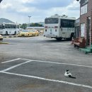 동일자동차공업(주) | [양주/운전면허] 한미자동차운전전문학원 : 2종 보통...근교 경기북부 운전학원/눈물의 합격 후기/내돈내산