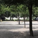 나드리야영장 이미지