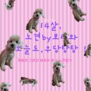 애니멀 체가 이미지