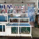 바우활어