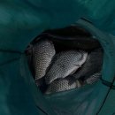 삼성지낚시터 이미지