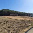 구산면565 이미지