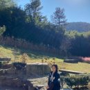 아원목장 이미지