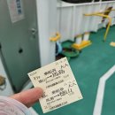 내가치킨 | 야마구치 여행 DAY 4,5 ('25. 9. 14.~9.15.) : 오쓰시마, 가이텐 기념관, 이와쿠니, 킨타이교