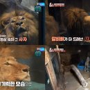 한사자농장 MBC연예