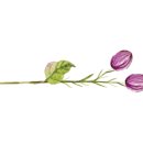 라벤더공방