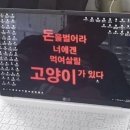 호담 이미지