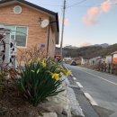 담양라라345 이미지