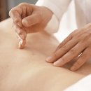 세계로한방병원 이미지