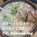 진설렁탕 | 광주 치평동 밥집 추천 빛고을 진 설렁탕 후기