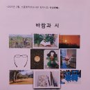 들빛 이미지