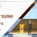 20251130 다움교회 주일예배 [담대히 기도하라, 사도행전 4장 23~31절] 양승언목사 이미지