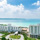 한사랑펫 이미지