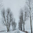 황토현마을 이미지