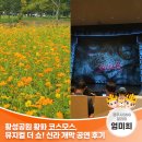 계림고등학교 | 황화 코스모스, 해바라기 &amp; 엑스포대공원 뮤지컬 더 쇼 ! 신라 개막 공연 후기 | 경주시 SNS 알리미 엄미희