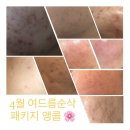 살롱드플레인