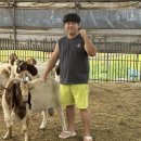 제이목장 이미지