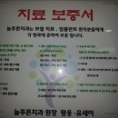 늘푸른치과 Daum카페