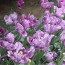 법원중앙외과의원 이미지