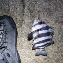 여명전자산업 이미지