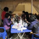 인천대공원 야영장 이미지