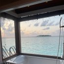 소프트 펀 | 몰디브 신혼여행 패키지 자유여행 후기 경비 워터빌라