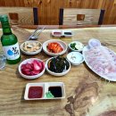 제주로베로아넥스 이미지