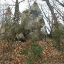 산속농원 이미지