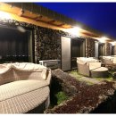 호랑호랑 이미지