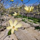 이레행정사 이미지