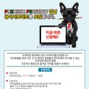 프리미엄펫 이미지