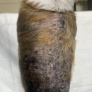 숲동물병원 이미지