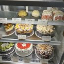 세븐일레븐 대전탄방남선점 | 대전 소금빵 맛집 ‘콜드버터베이크샵 탄방점’ 크랙 소금빵/두바이 소금빵/우유소금빵