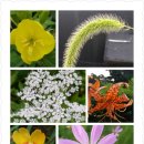 (주)에코이즈 이미지