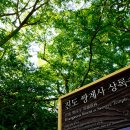화가의방