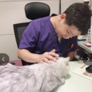 무안동물병원 이미지