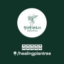 숲협동조합힐링플랜트리
