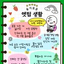 슬기로운생활
