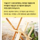 거진초 송정분교장 | 고성 더놀다가 프로그램