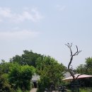 미로보건지소 이미지