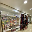 강아지나라 이미지