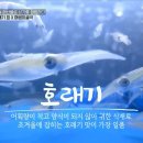 남해-124 이미지