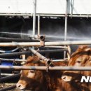 이성기농장 이미지