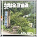 청림길 | 청림오크밸리펜션 | 펜션 추천! 바로 뒤 계곡과 수영장이 함께 있는 숙소 내돈내산 후기!