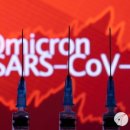 변이(미디어) 이미지