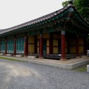 선관위 소나무 이미지