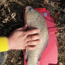 항포낚시터 이미지