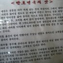 만포주유소