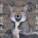 무무랑 이미지